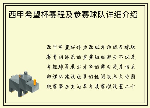 西甲希望杯赛程及参赛球队详细介绍